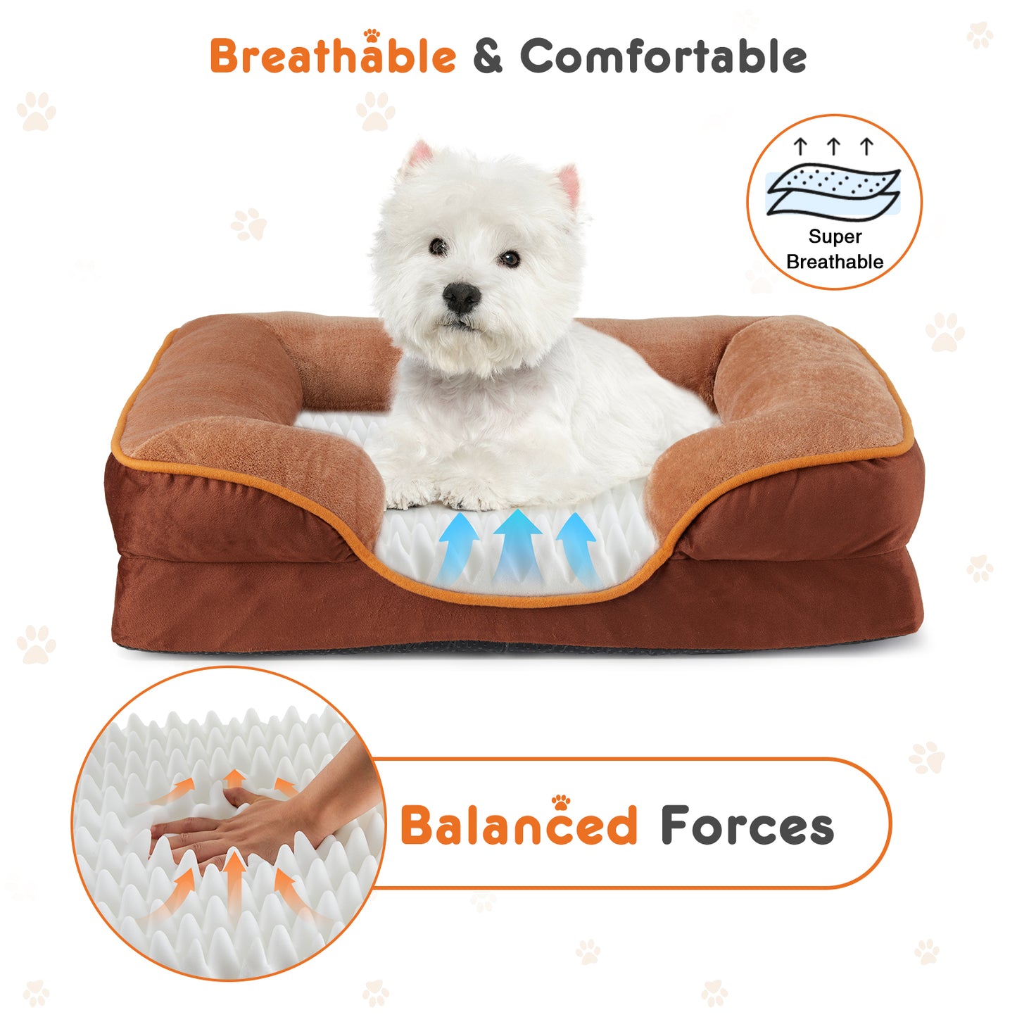 Pawsy Calming Orthopedic Dog Bed | Memory Foam, Washable Cover, Non-Slip Base
