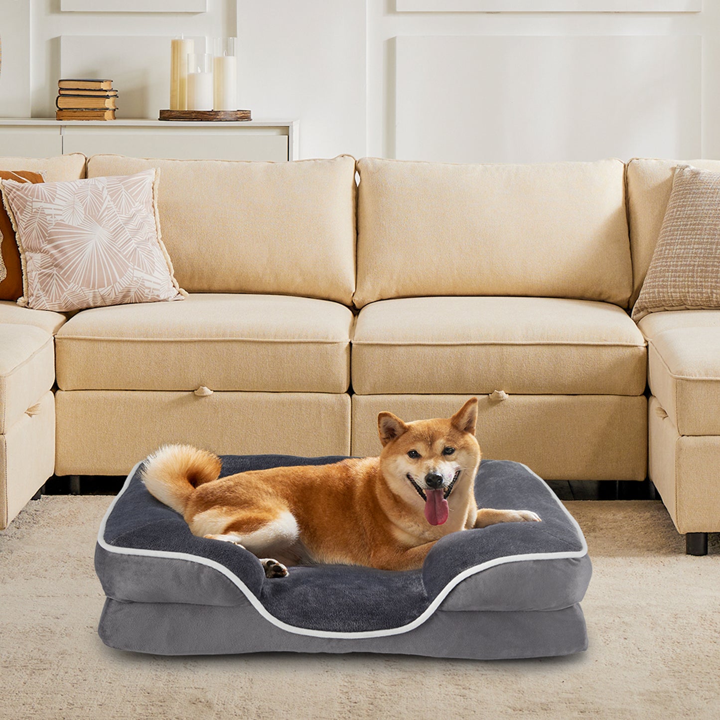 Pawsy Calming Orthopedic Dog Bed | Memory Foam, Washable Cover, Non-Slip Base