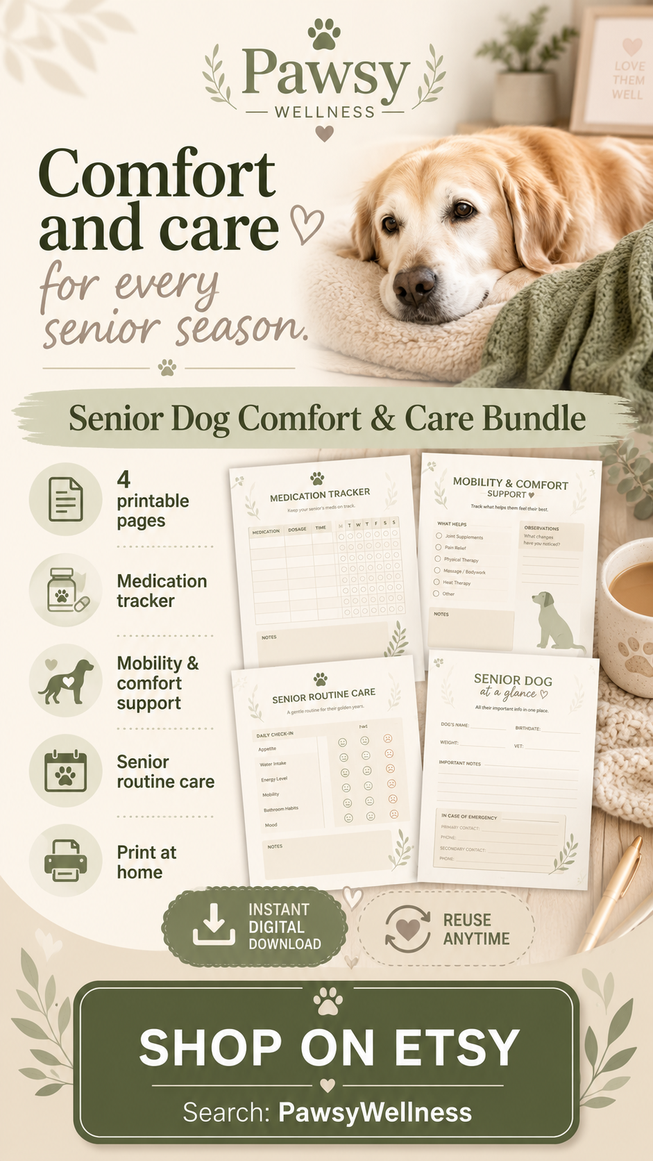 Senior Dog Comfort & Care Bundle
